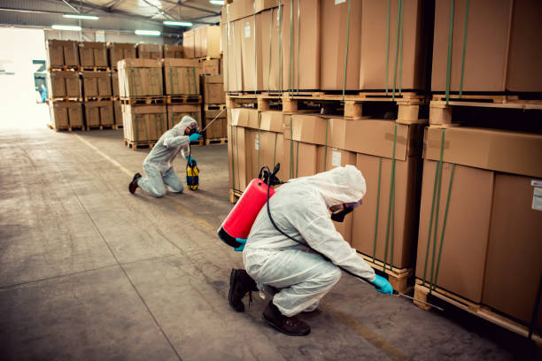 Reliable Bellerose, NY Pest Control Solutions